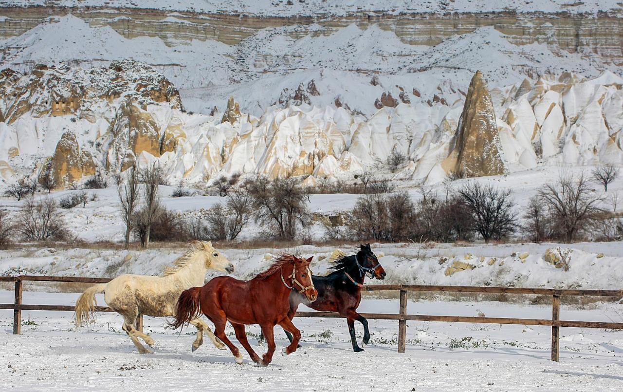 Elaa Cave Hotel Ortahisar Buitenkant foto